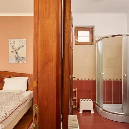Bed & Breakfast Preselo Pinceszet Es Vendeghaz Erdobenye